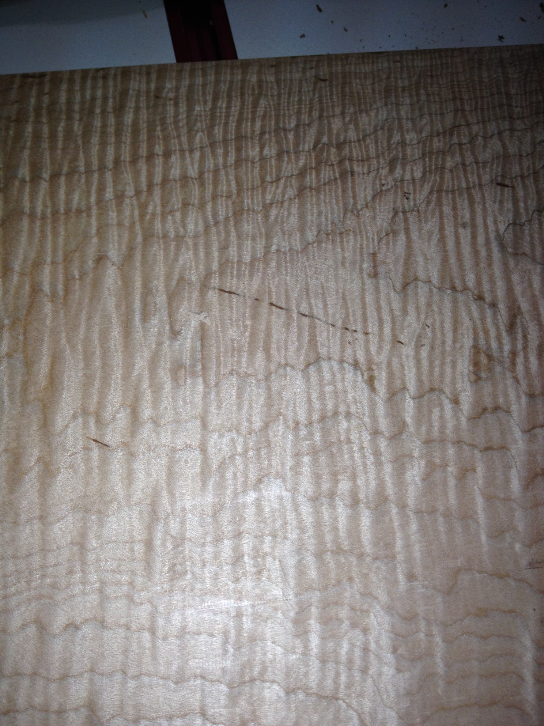 Wide curly maple board face, dense ripple figure across the full width.