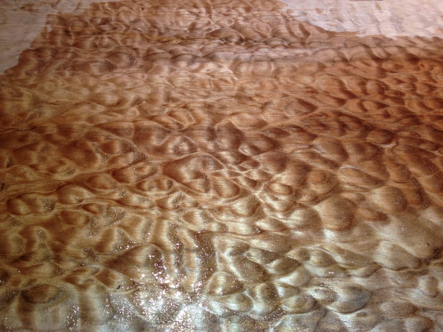 Quilted maple stock, wetted out showing three-dimensional figure.