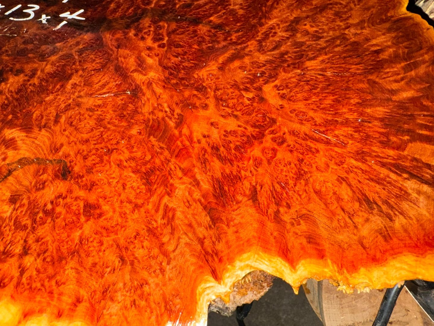 Vasticola burl finished, angled view showing chatoyance.