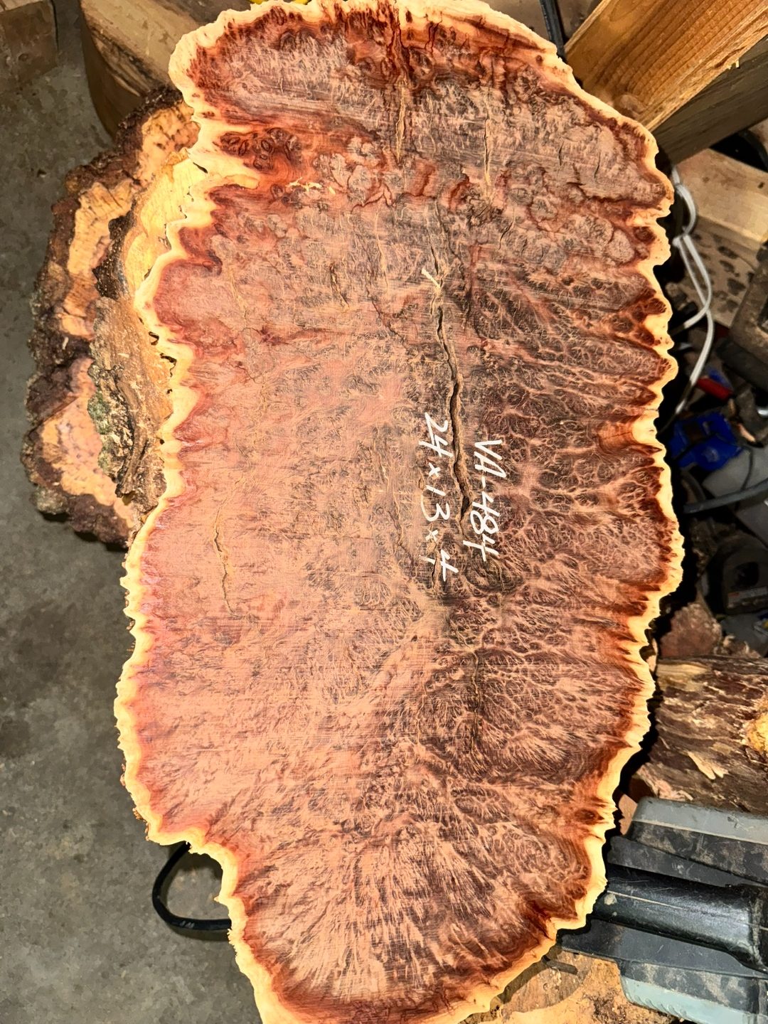 Vasticola burl slab with bark inclusion visible, dry state.