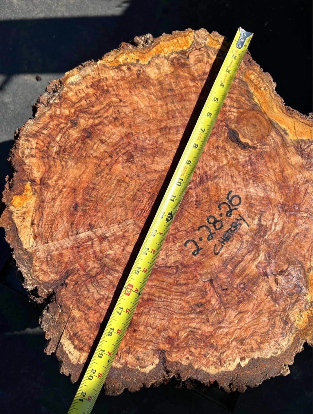 Vasticola burl slab surface, dry, closeup of figure.