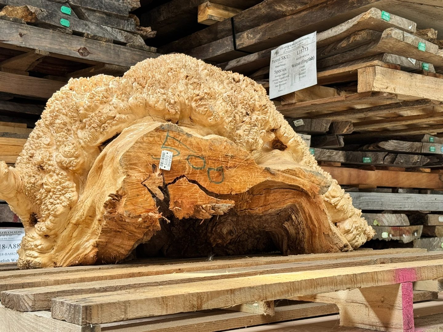 Vasticola burl slab, half-wetted, showing dry-to-wet transition.