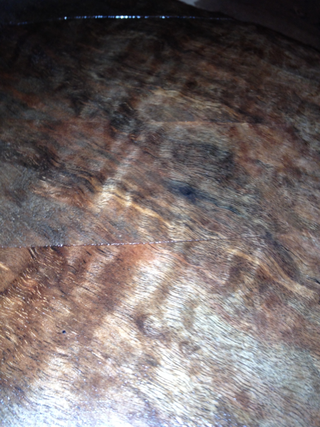 Walnut burl under finish, deep pooling figure with soft chatoyance.
