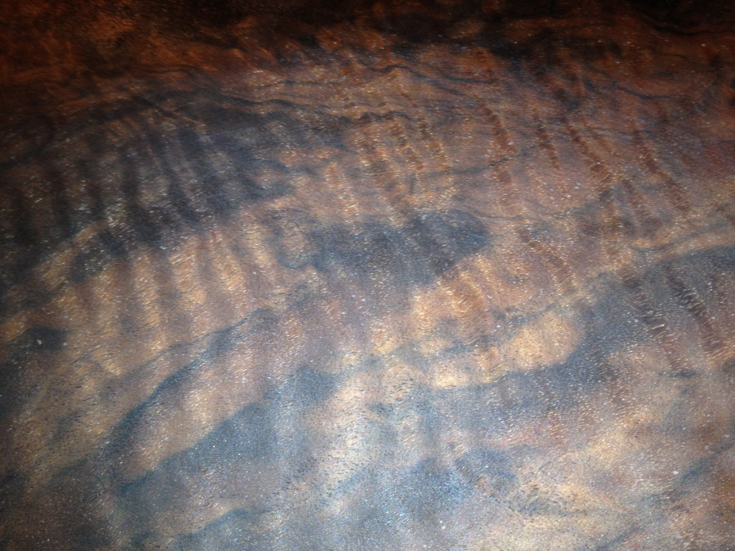 Curly walnut surface with wide chatoyant bands shifting from dark to light.