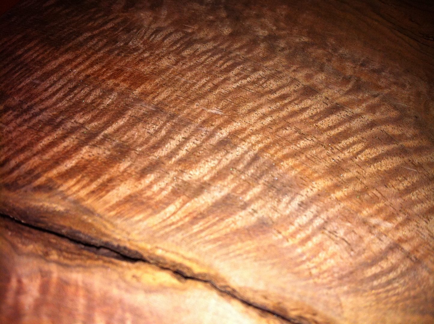 Curly walnut closeup detail catching raking light.
