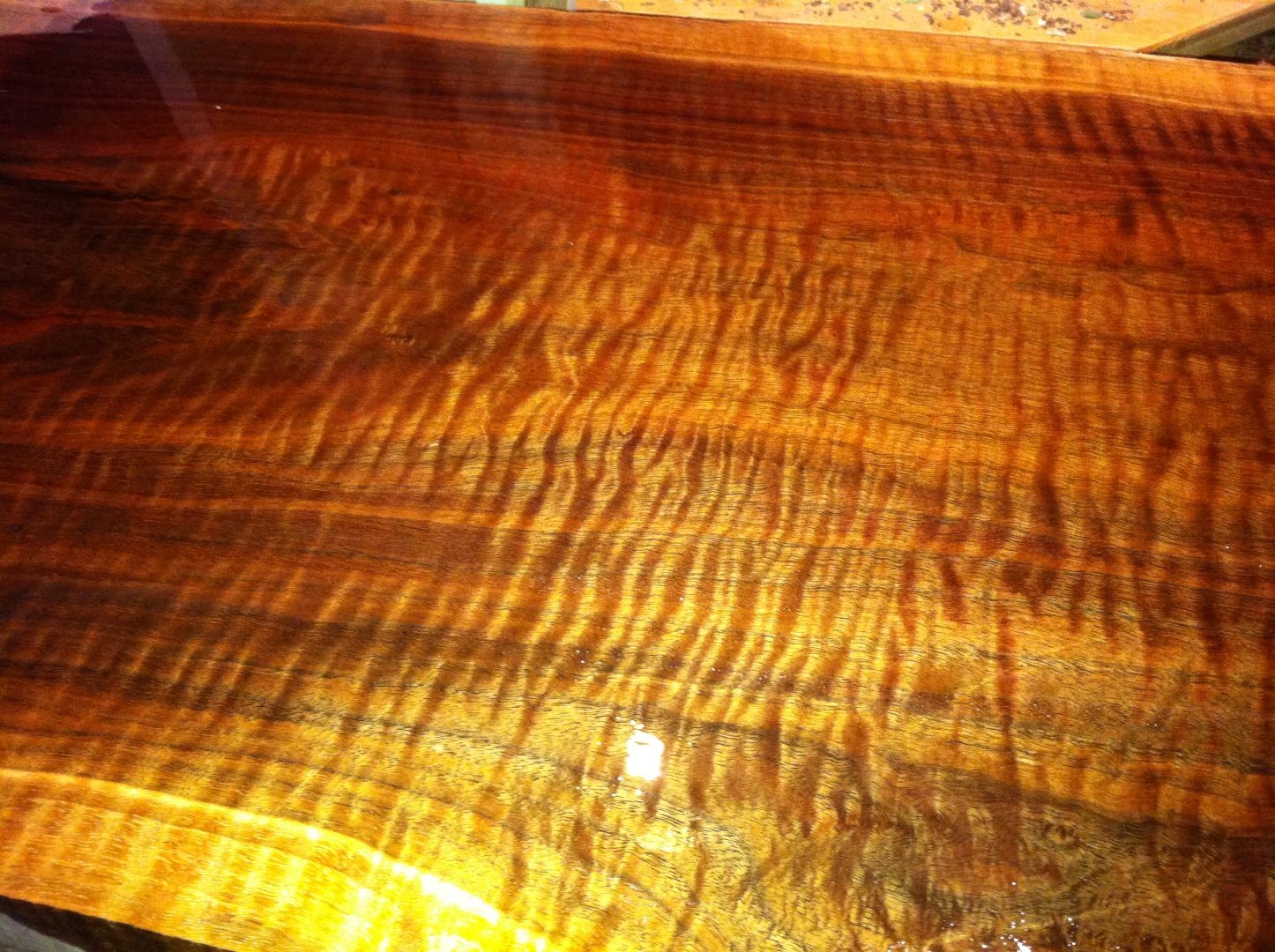 Figured walnut slab under finish, curly grain across the face.