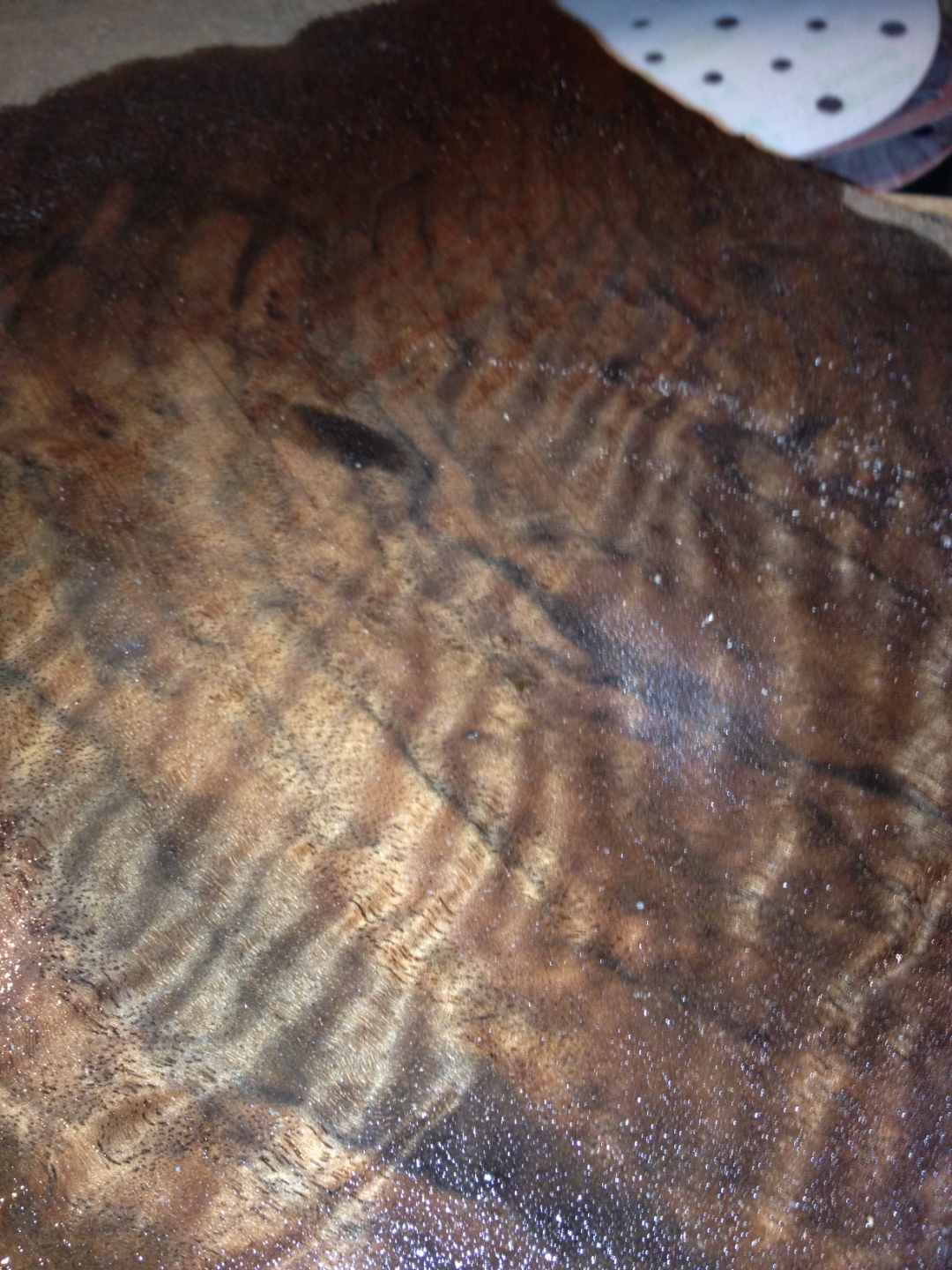 Curly walnut slab wetted out, curly figure emerging under water preview.